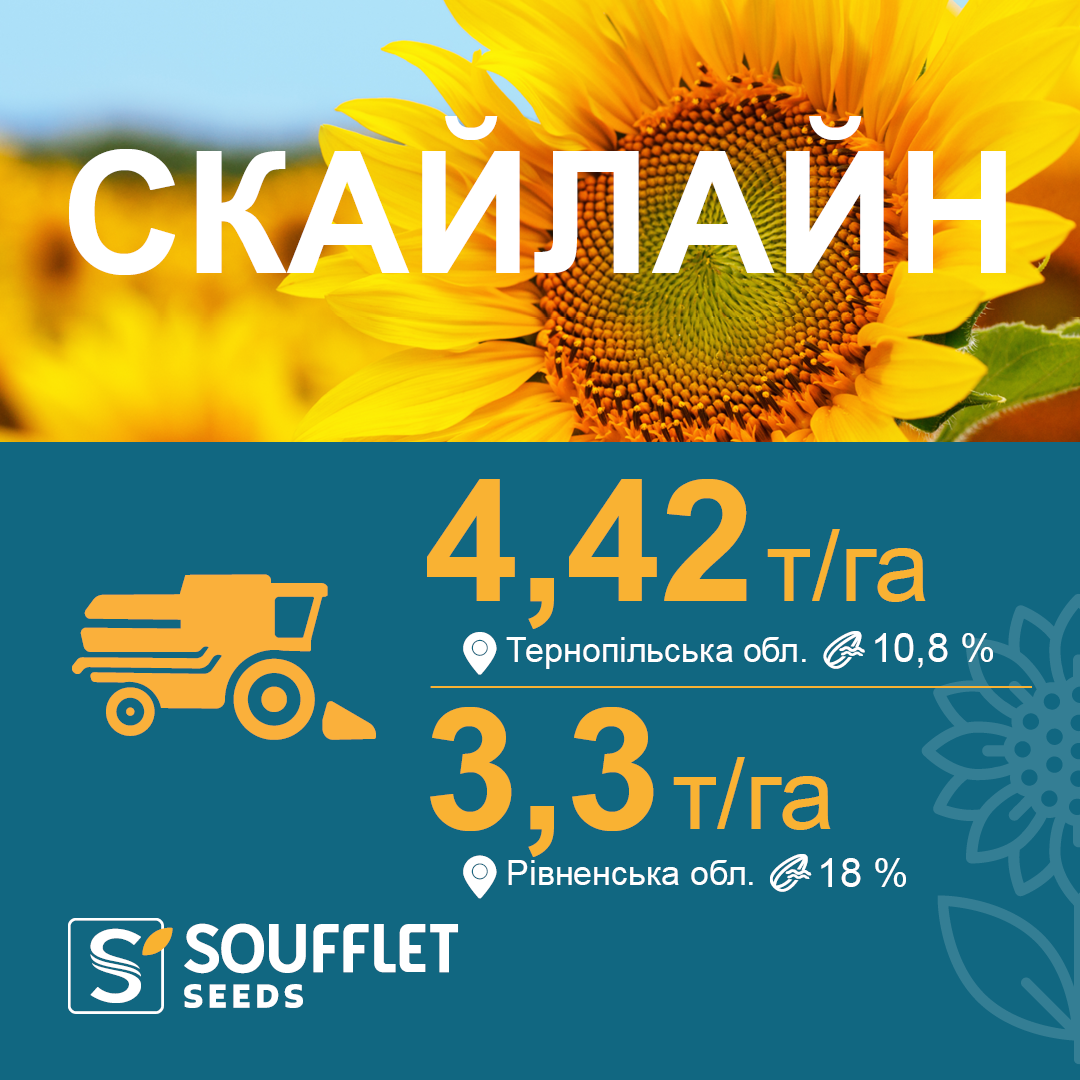 СКАЙЛАЙН