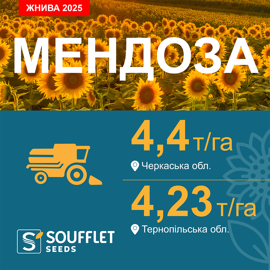 МЕНДОЗА