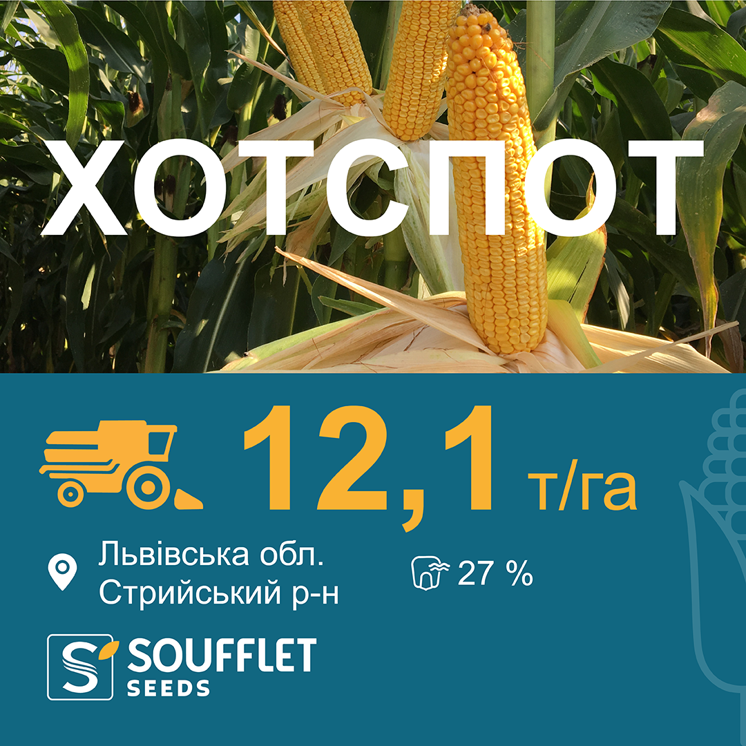 ХОТСПОТ