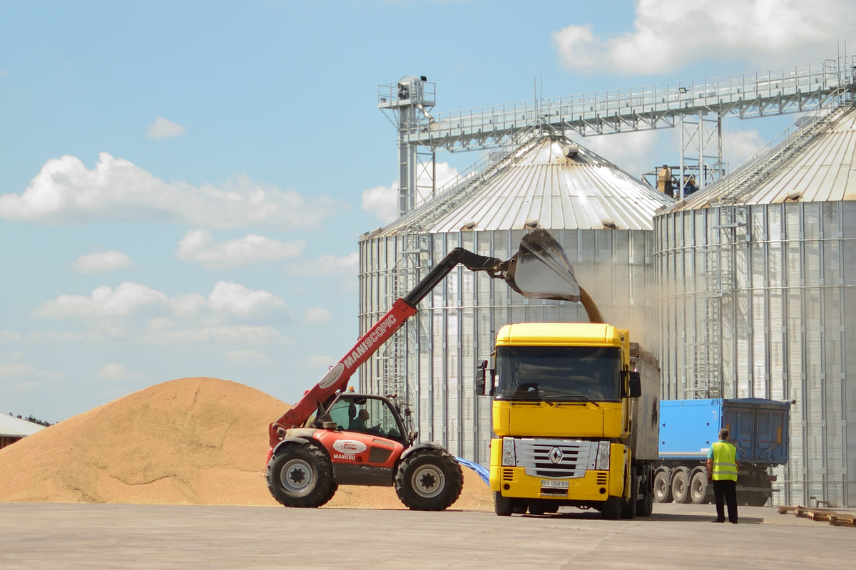 Malting Barley insurance