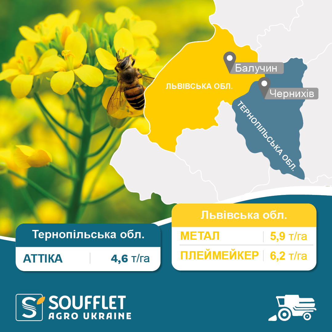 ПЛЕЙМЕЙКЕР