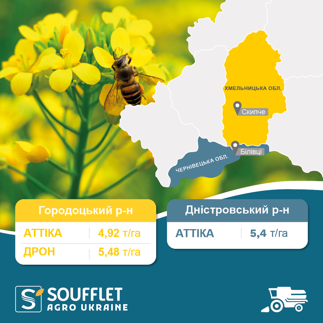 ДРОН