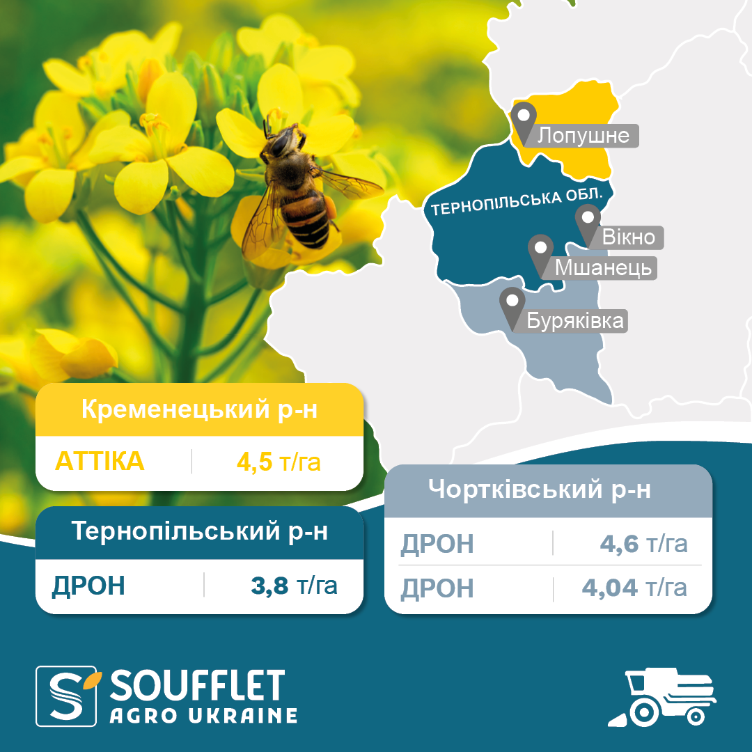 ДРОН