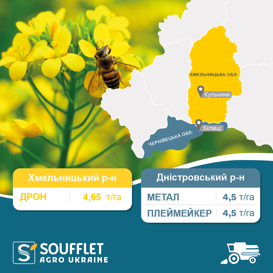 МЕТАЛ