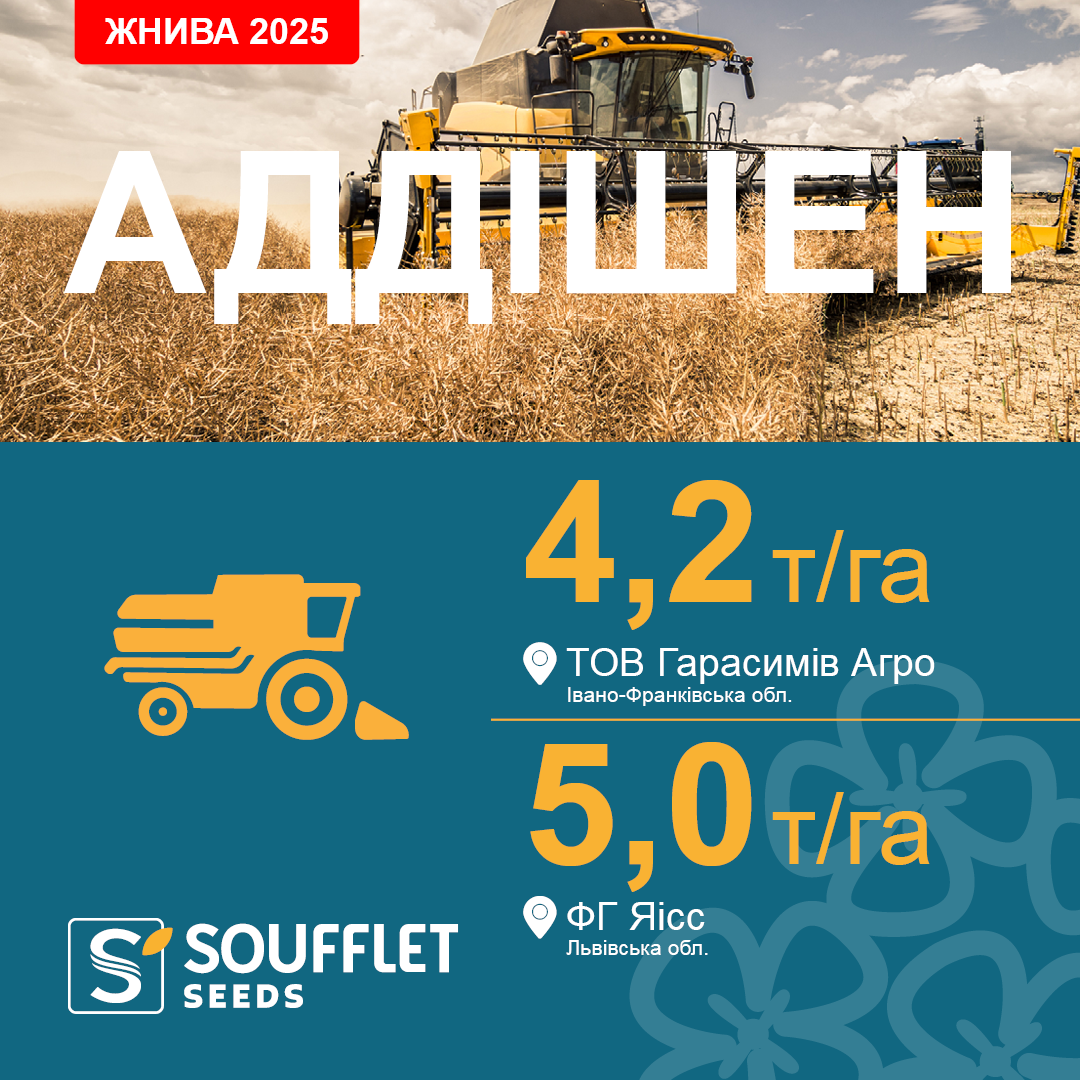 АДДІШЕН