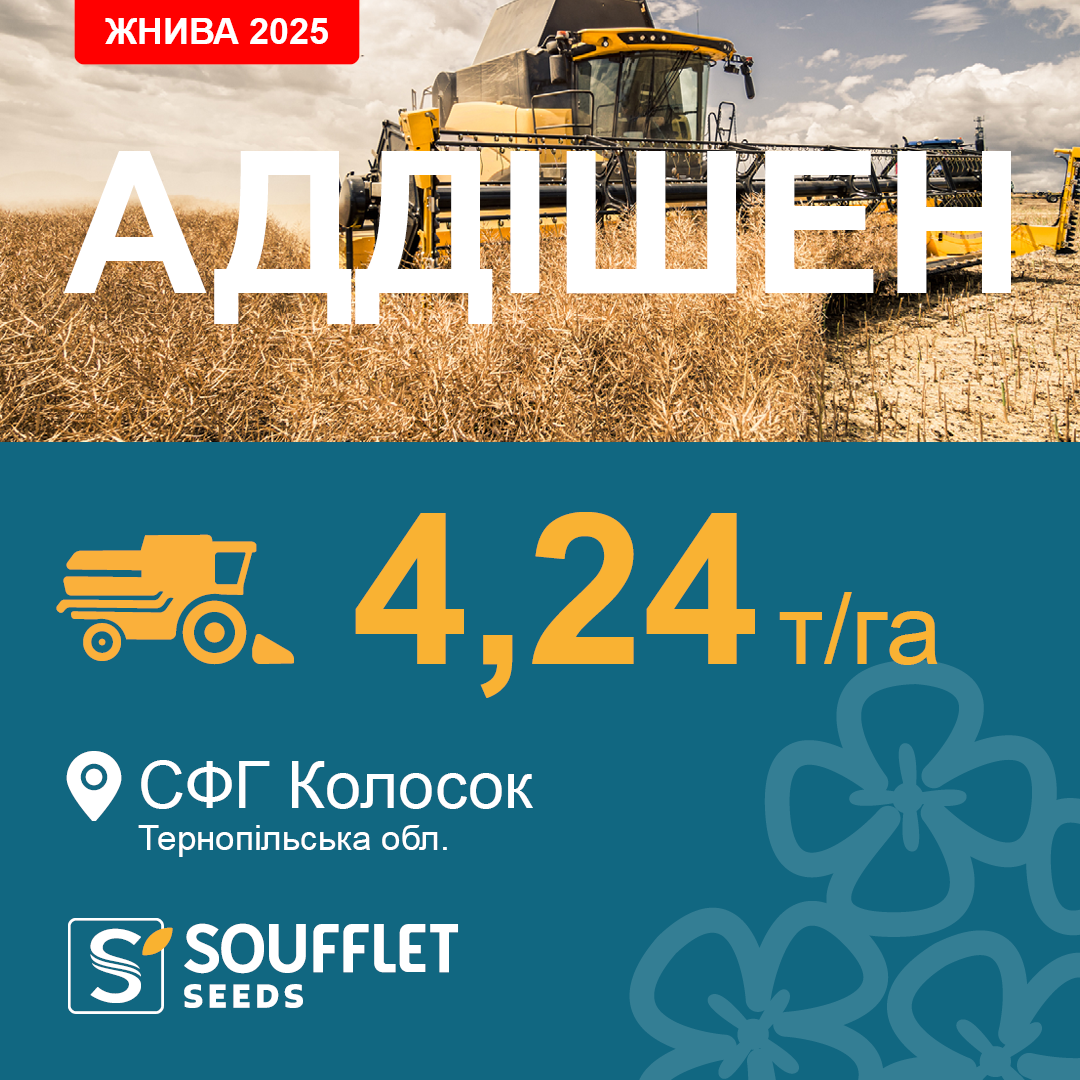 АДДІШЕН