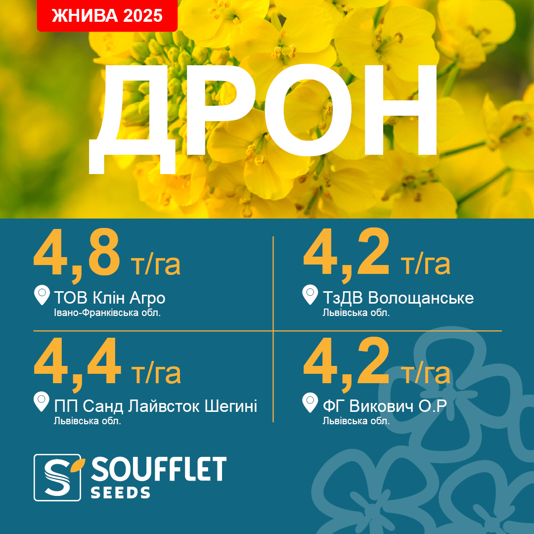 ДРОН
