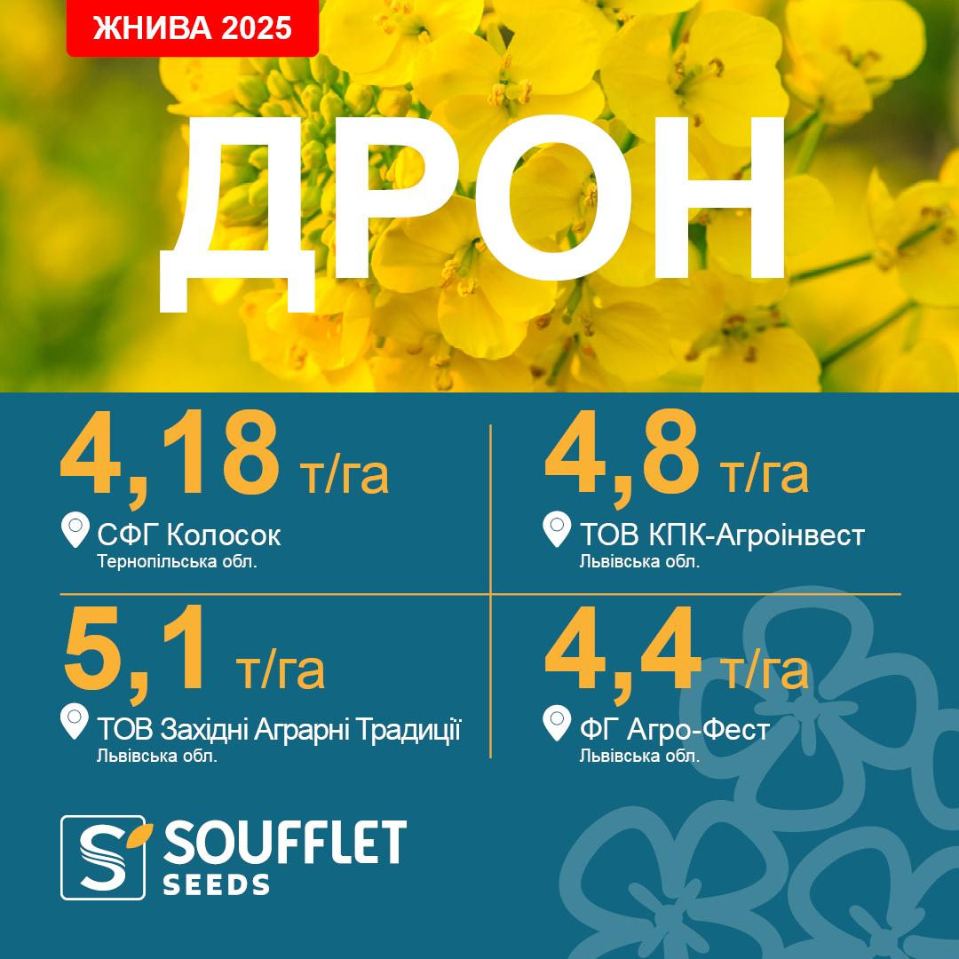 ДРОН