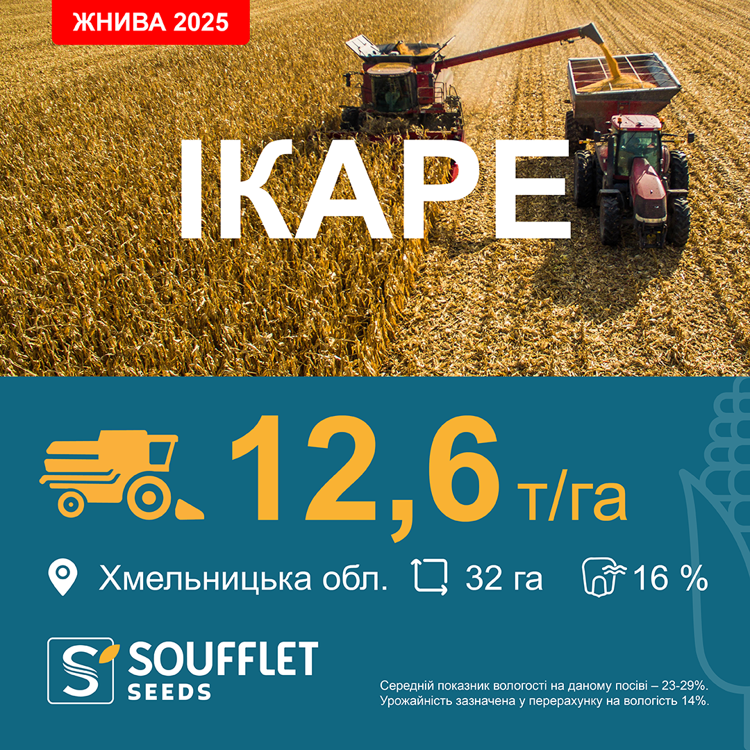 ІКАРЕ