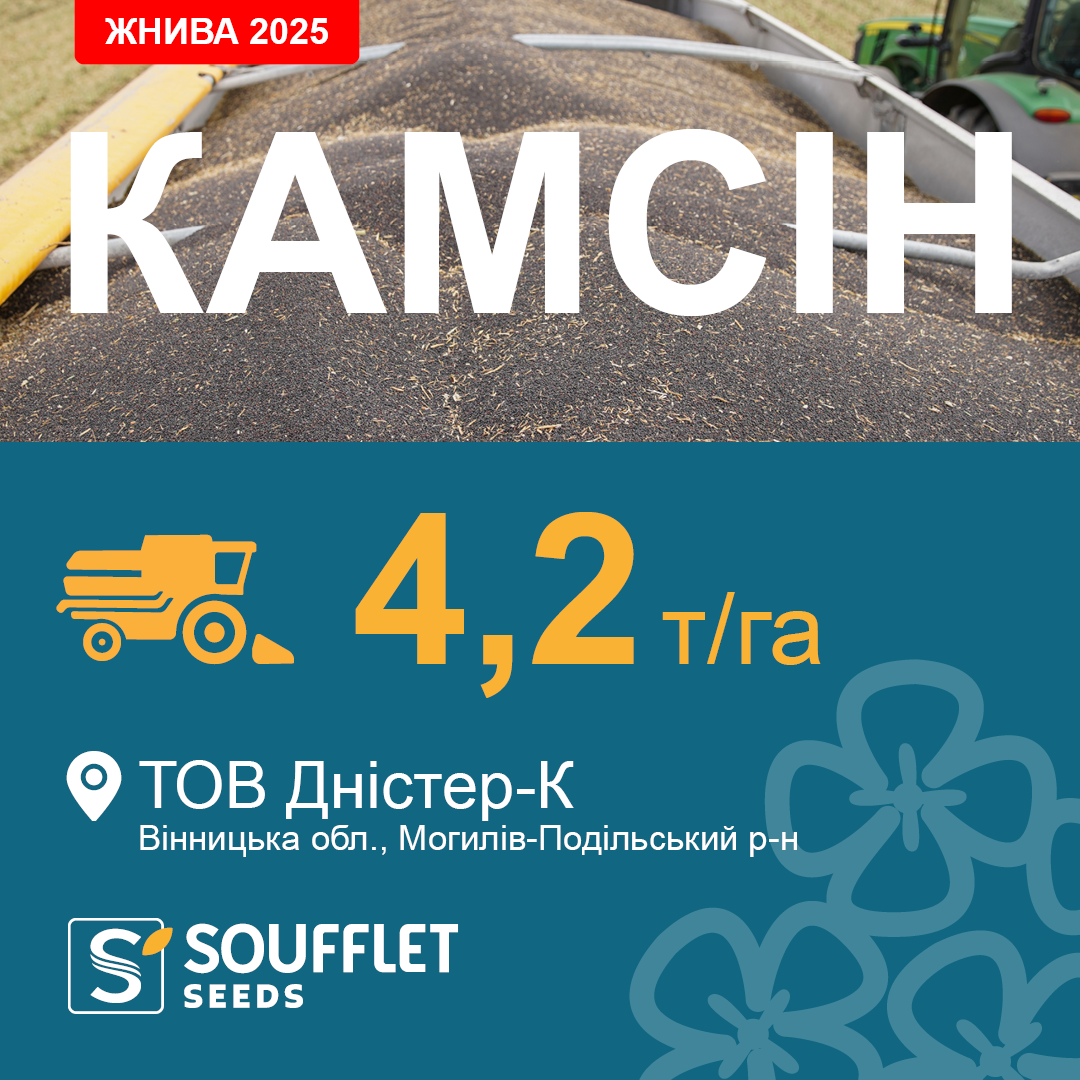 КАМСІН