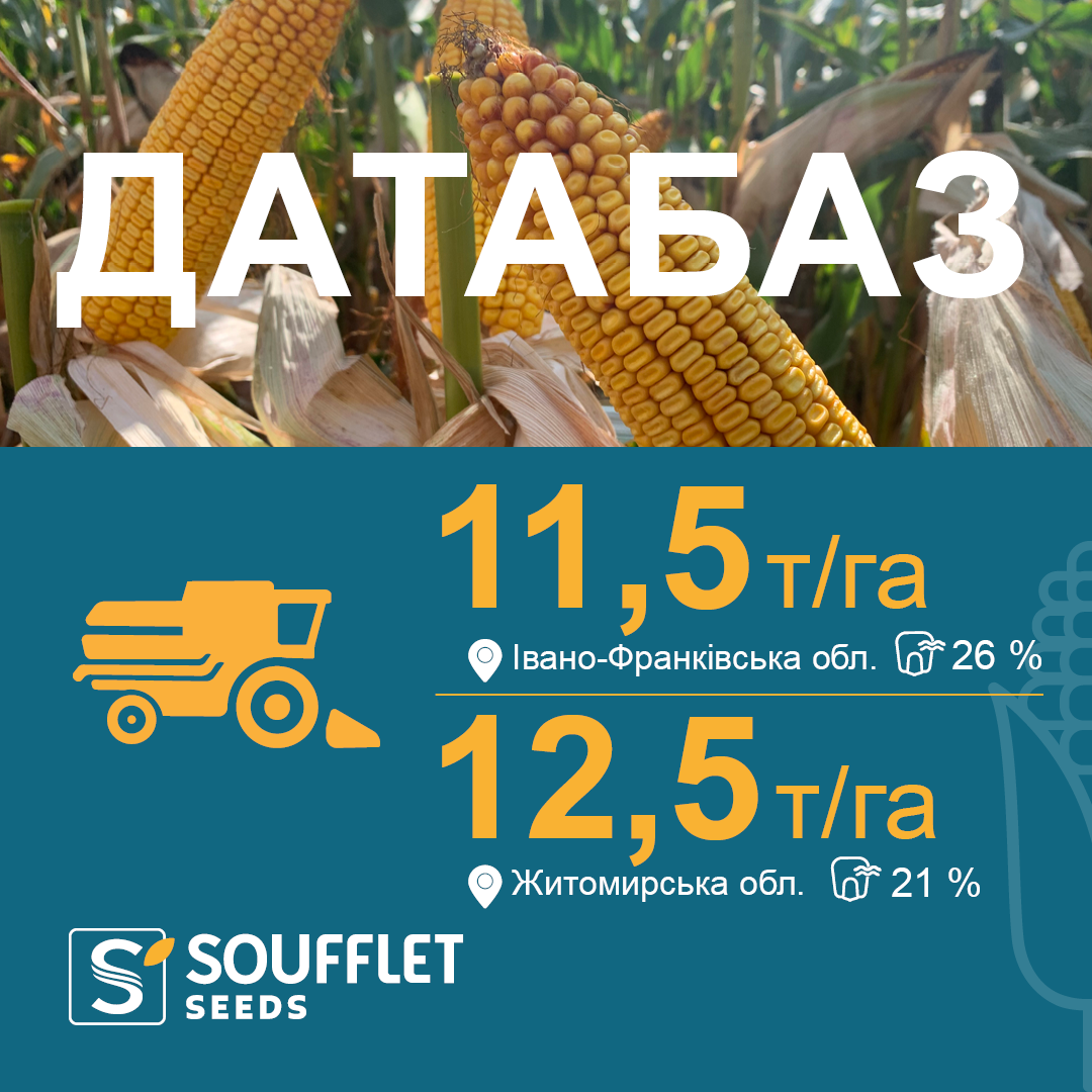 ДАТАБАЗ