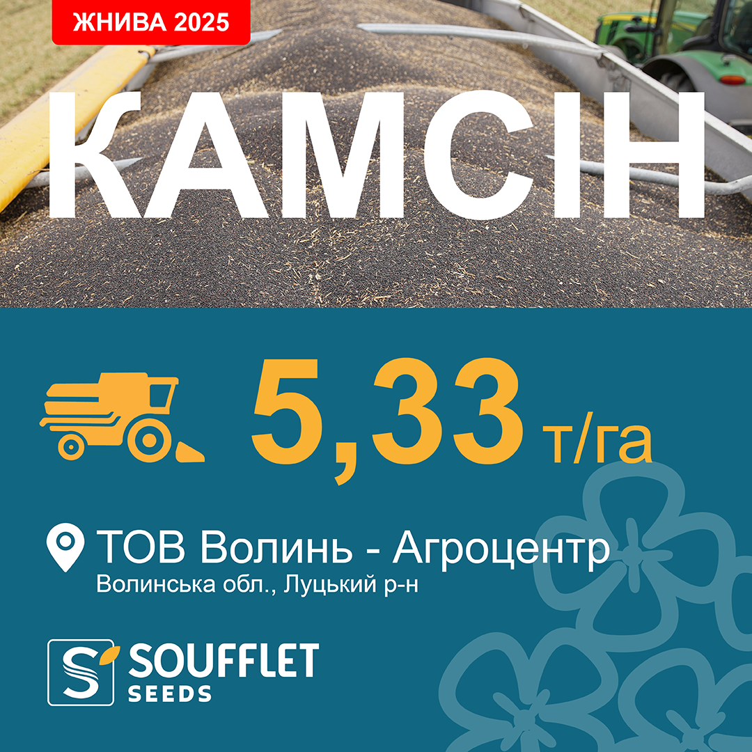 КАМСІН