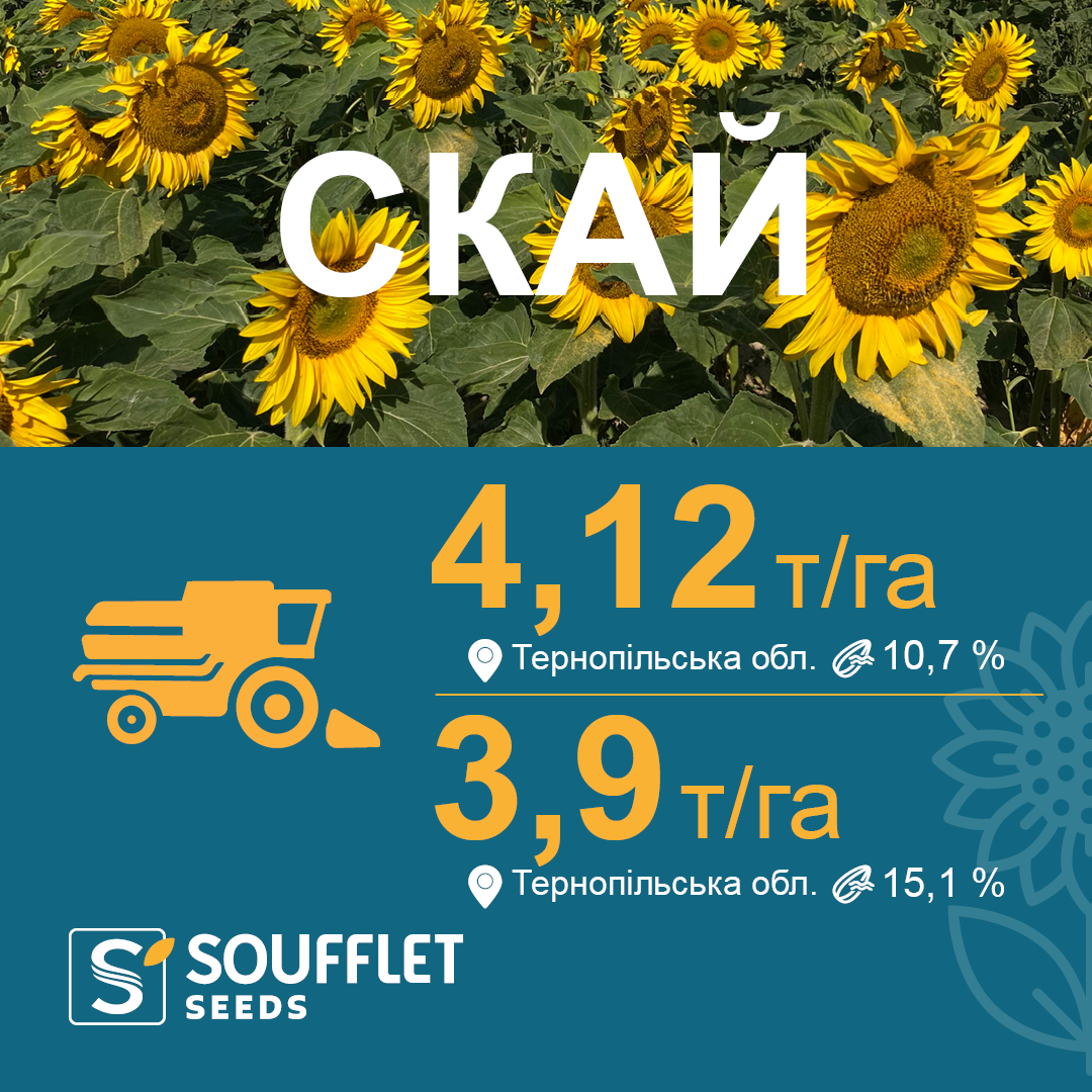 СКАЙ