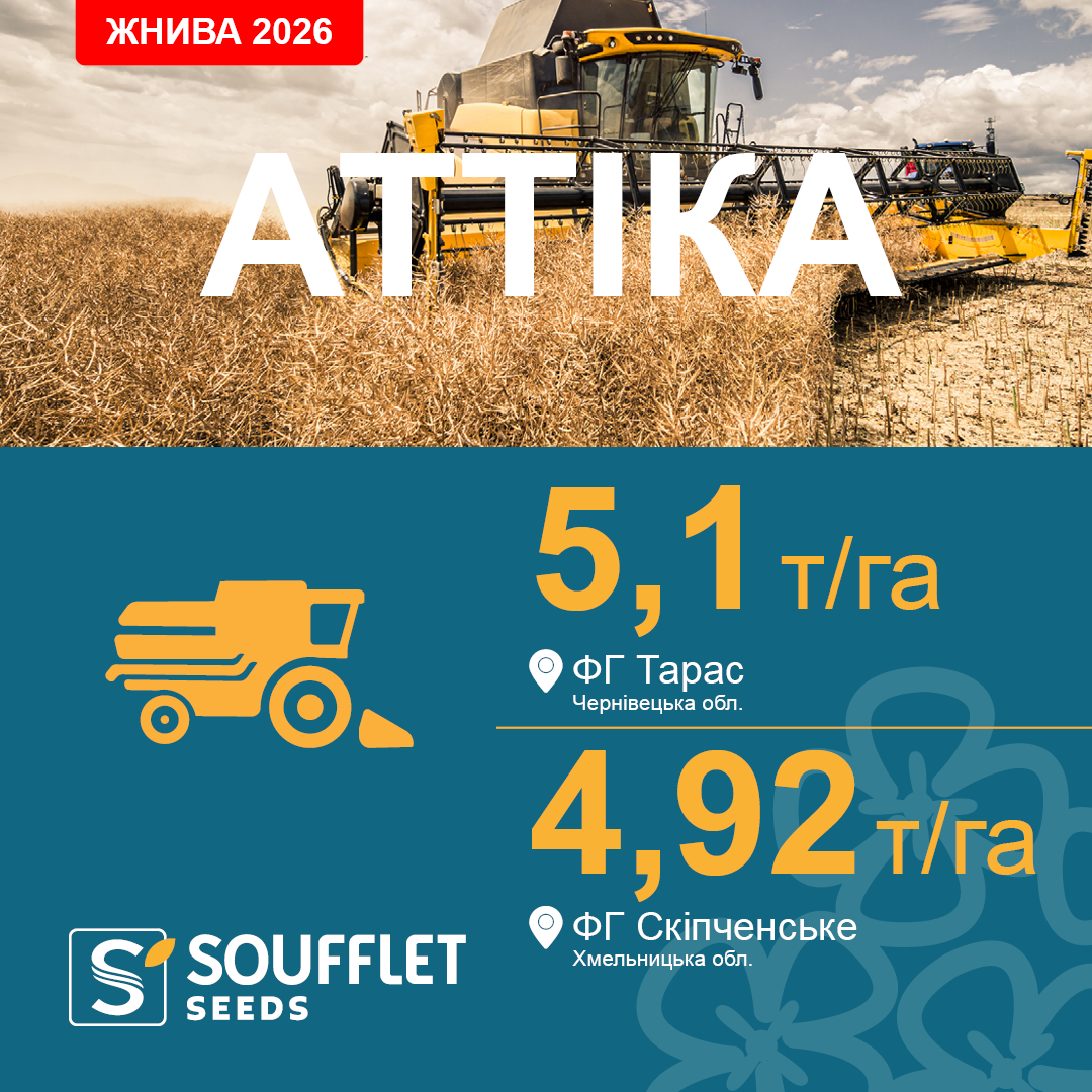 АТТІКА