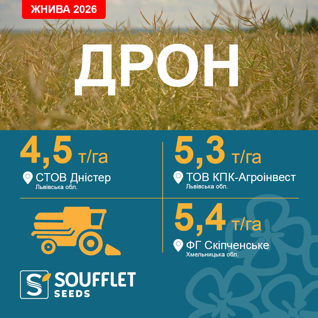 ДРОН