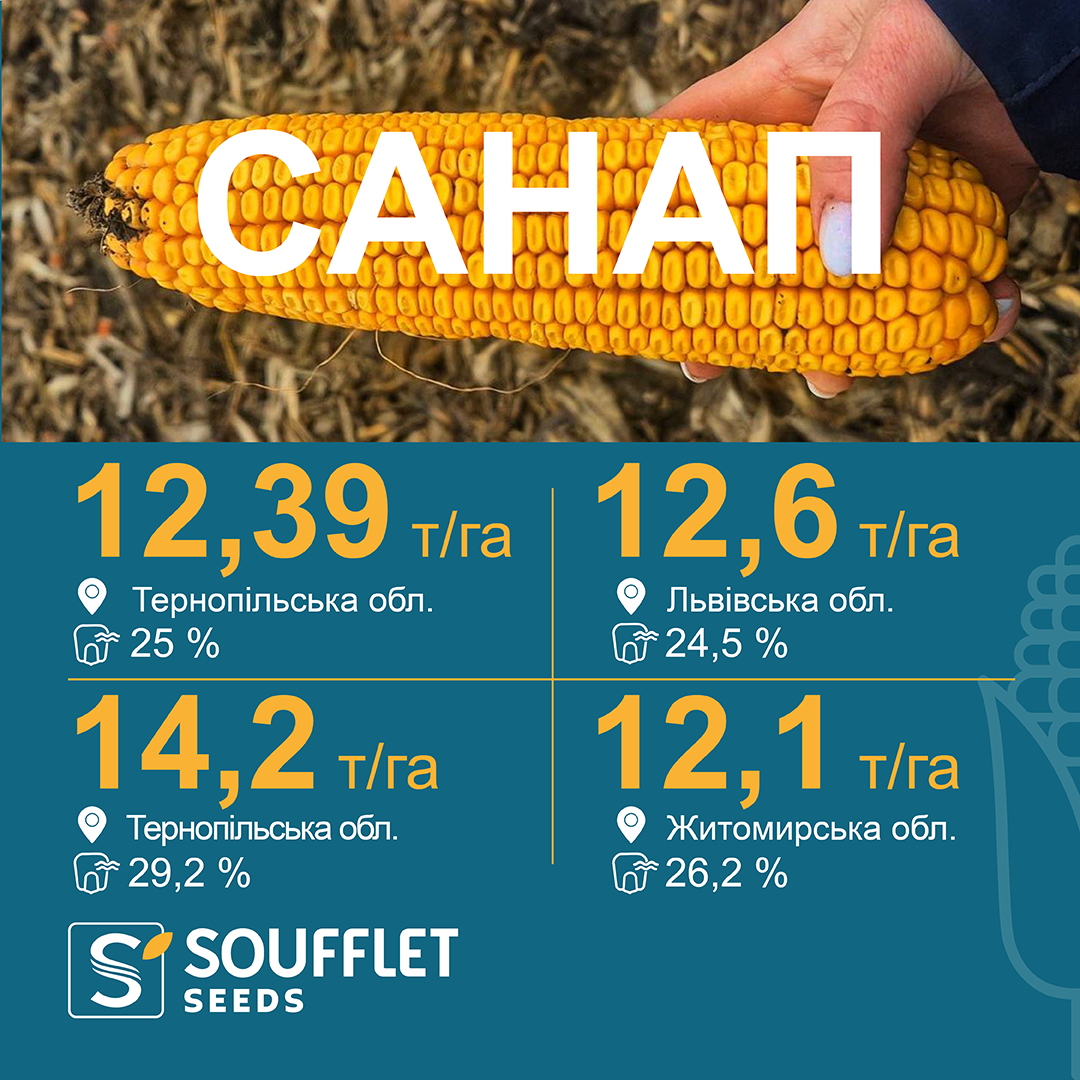 САНАП