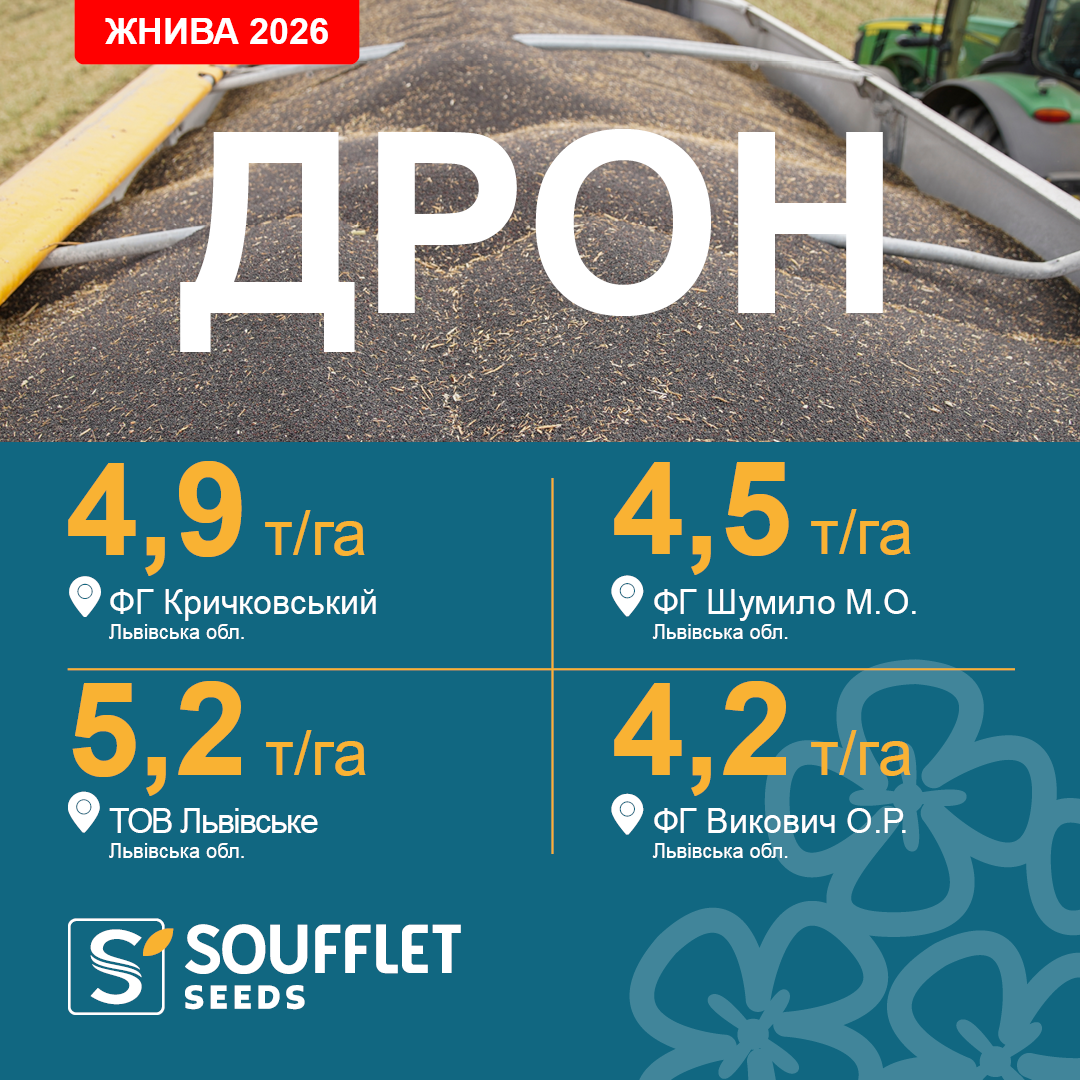 ДРОН