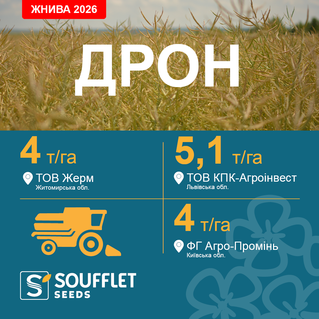 ДРОН