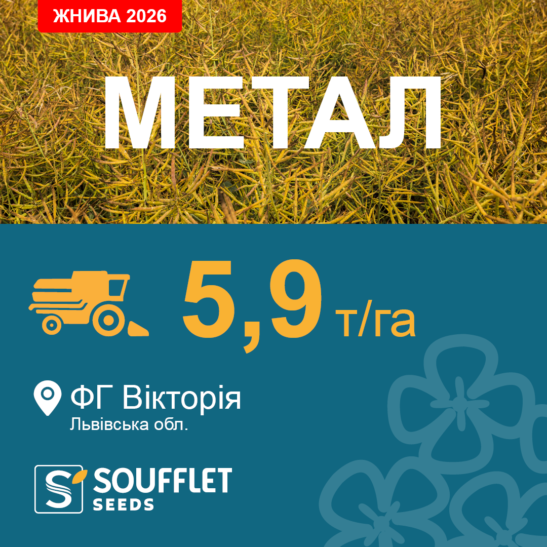МЕТАЛ
