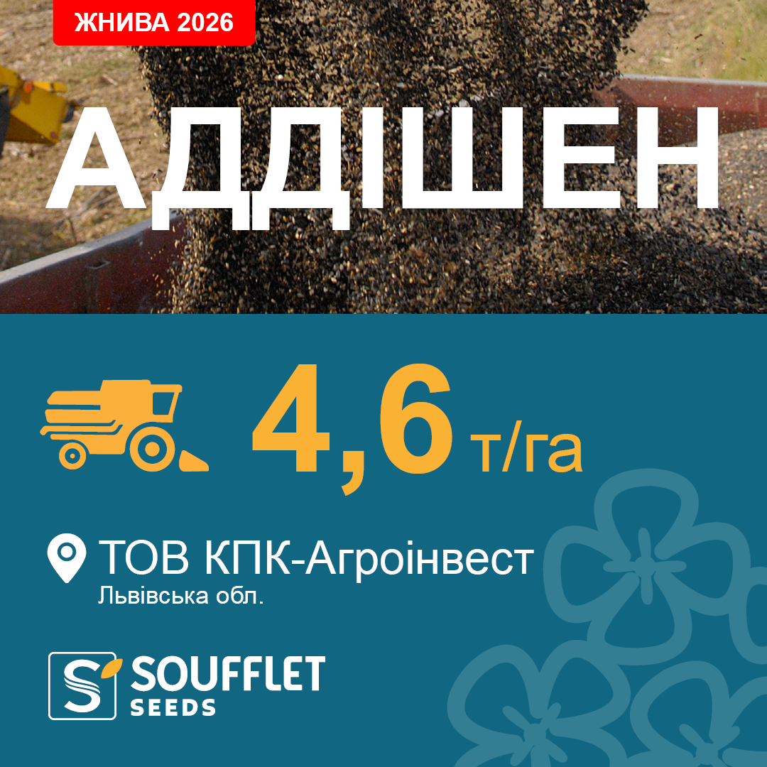 АДДІШЕН