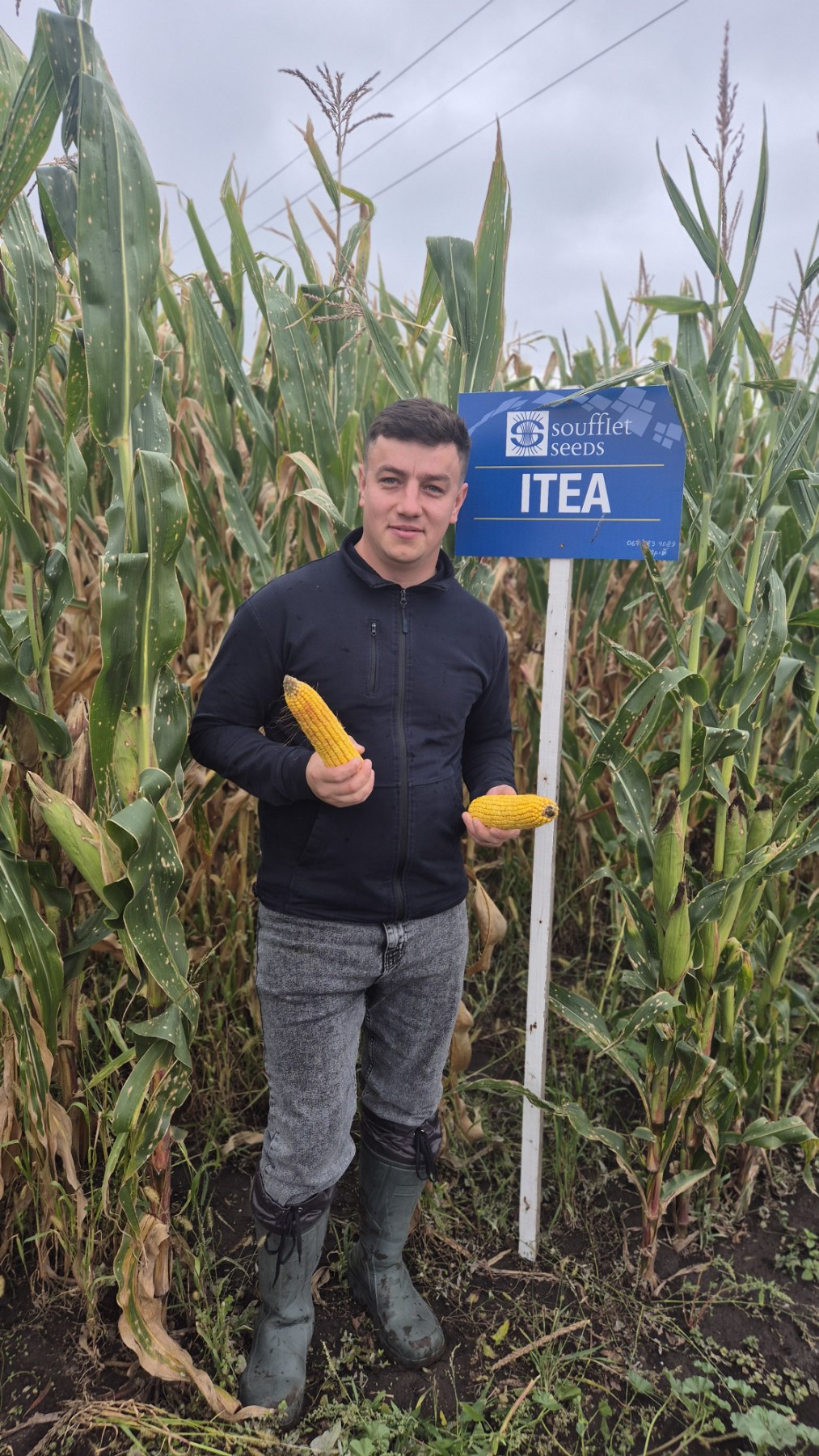 ІТЕА